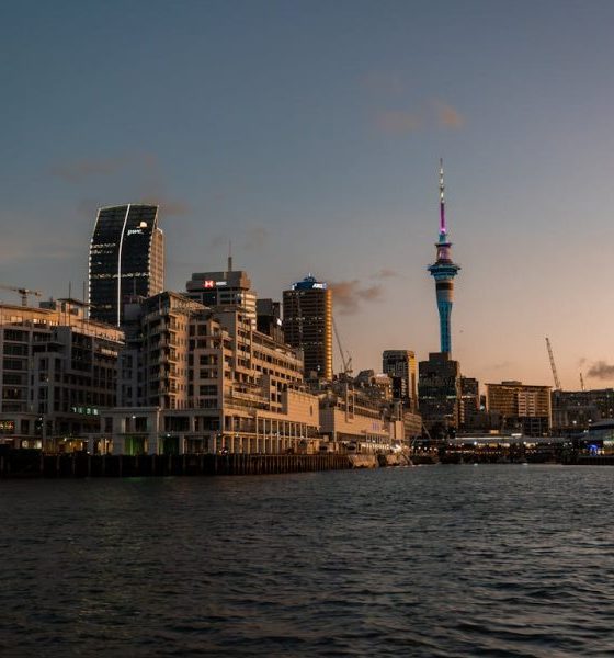 kiwis-deserve-safe-gambling-that-gives-back