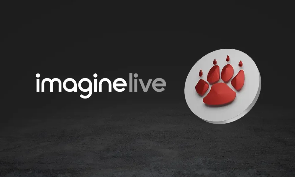 qtech-games-fine-tunes-its-live-casino-suite-with-imagine-live