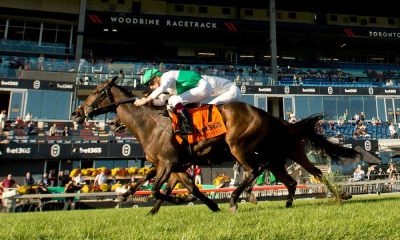 woodbine-partners-with-1/st-for-pegasus-world-cup-filly-&-mare-turf-qualifier