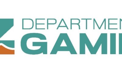football-season-kicks-off:-arizona-department-of-gaming-warns-of-gambling-scams-and-highlights-consumer-protection-tools