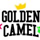 sports-betting-companion,-golden-camel,-launches-new-in-person-content-hub