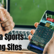 florida-sports-betting-sites-2025-–-legal-online-sportsbook-options-featuring-betonline