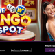 pragmatic-play-unveils-dazzling-new-game-show-the-bingo-spot