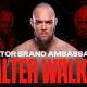 tko:-spribe-names-ufc-fighter-valter-“the-clean-monster”-walker-as-aviator-brand-ambassador