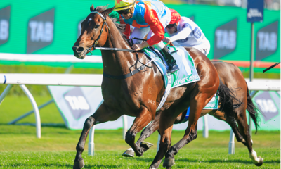 world-pool-2025:-record-hk$10.9bn-turnover-signals-global-racing-maturity