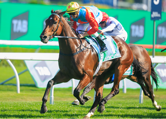 world-pool-2025:-record-hk$10.9bn-turnover-signals-global-racing-maturity