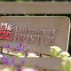 university-of-bristol-graduates-create-toolkit-to-help-students-avoid-gambling-harms