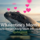 dive-into-a-different-kind-of-love-this-february-with-springbok-casino’s-‘whalentines-month’-and-claim-25-free-spins