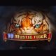 amusnet-releases-mystic-tiger-slot