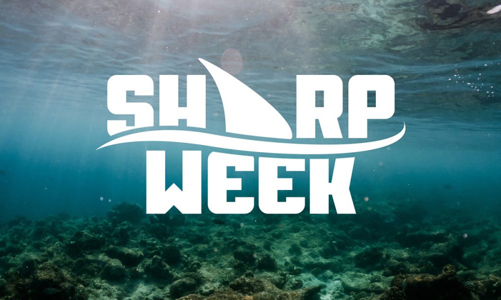 vsin’s-“sharp-week”-returns-to-help-sports-fans-gear-up-for-ncaa-basketball-tournament