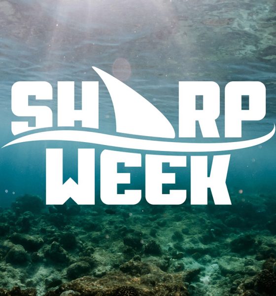 vsin’s-“sharp-week”-returns-to-help-sports-fans-gear-up-for-ncaa-basketball-tournament