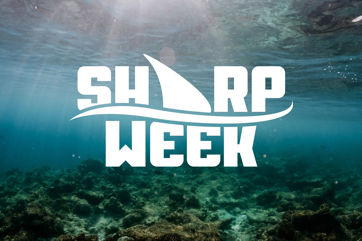 vsin’s-“sharp-week”-returns-to-help-sports-fans-gear-up-for-ncaa-basketball-tournament