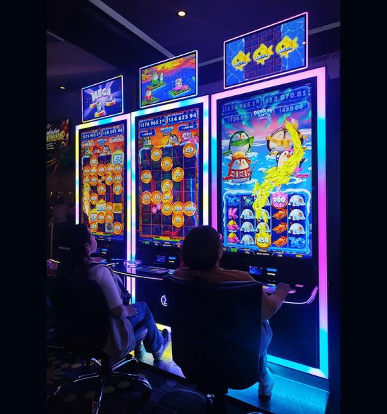 zitro-launches-new-game-“penguin-party”-in-mexico