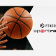 fincore-integrates-tri-platform-with-sportradar’s-vaix-personalization-ai