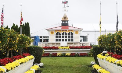 cdi-announces-definitive-agreement-to-acquire-preakness-intellectual-property-rights