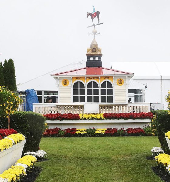 cdi-announces-definitive-agreement-to-acquire-preakness-intellectual-property-rights