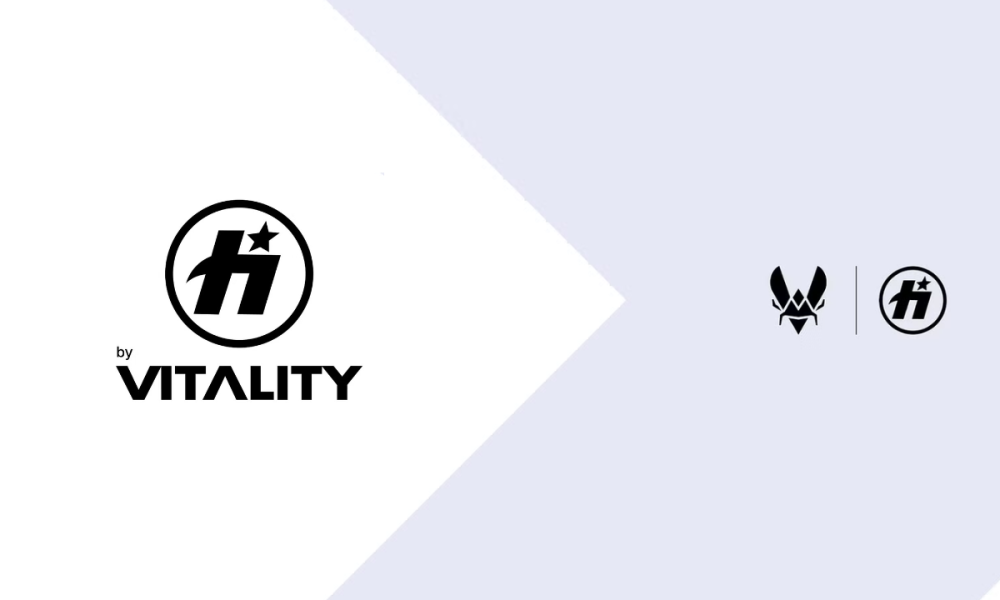 team-vitality-partners-with-team-havok-to-expand-in-fortnite