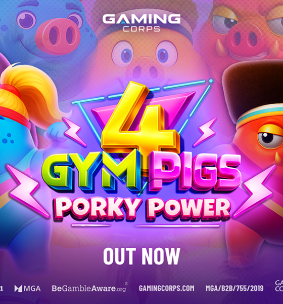 gaming-corps-flexes-its-muscles-with-4-gym-pigs:-porky-power