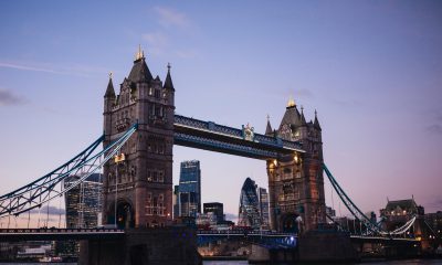 new-data-points-to-uk-black-market-surge