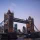 new-data-points-to-uk-black-market-surge