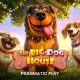 pragmatic-play-releases-its-latest-slot-game-“the-big-dog-house”