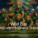 springbok-casino-rolls-out-wild-cup-2026-june-promo-with-25-free-spins