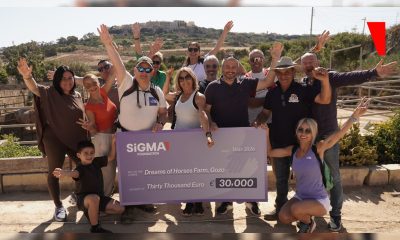 sigma-foundation-continues-its-longstanding-support-for-dreams-of-horses-farm-in-gozo