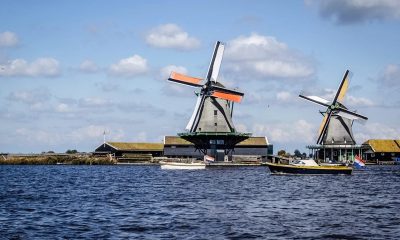 dutch-gambling-trade-association-sues-meta-over-illegal-gambling-ads