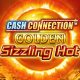 greentube-launches-cash-connection-–-golden-sizzling-hot-with-guaranteed-winning-spins