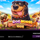 pragmatic-play-launches-the-dog-house-megaways-1000-with-1,000x-wild-multipliers